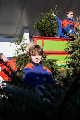 Je mehr_desto_lieber